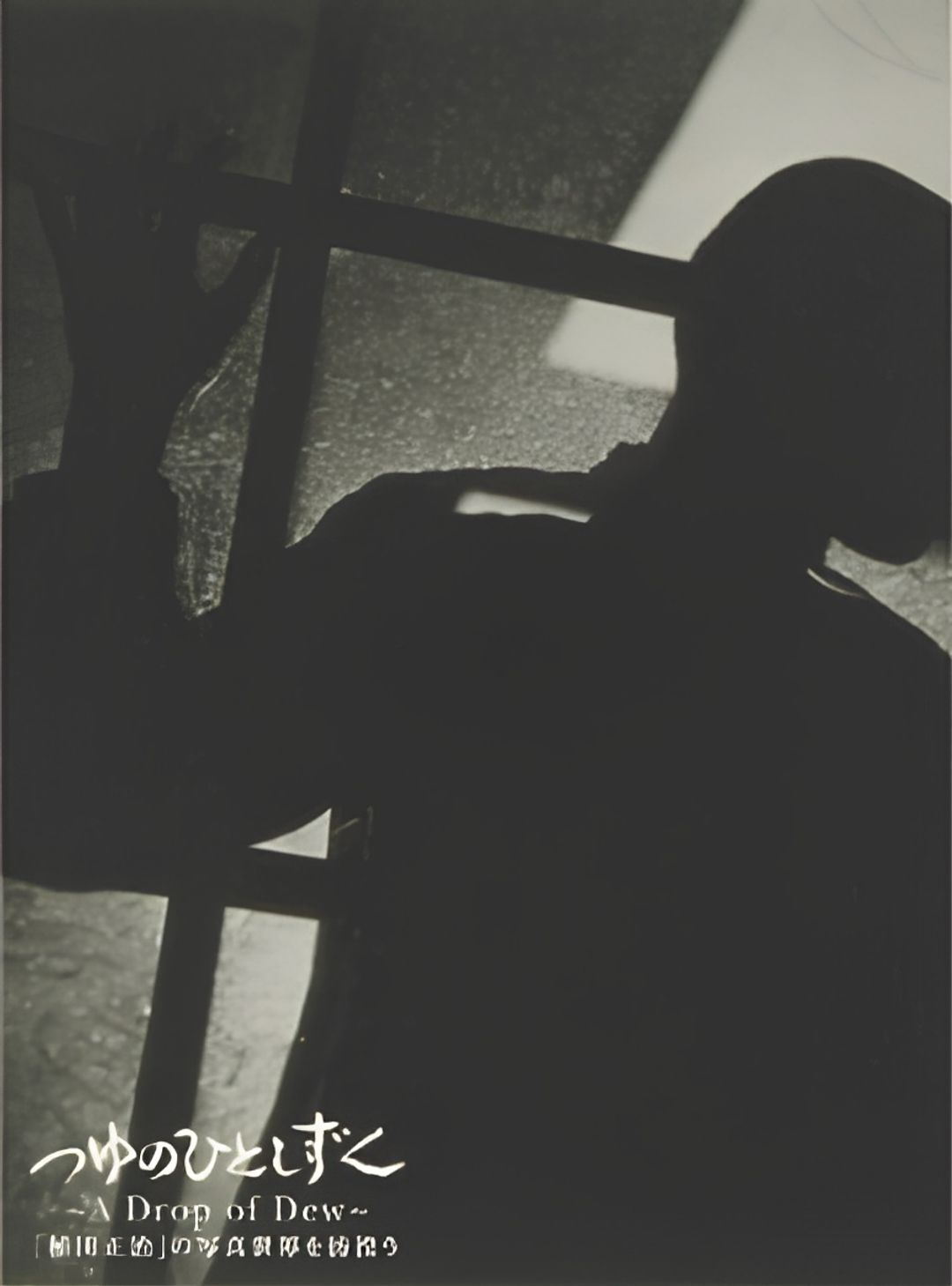 A Drop of Dew: Shouji Ueda's Photographs that Woke the World key art