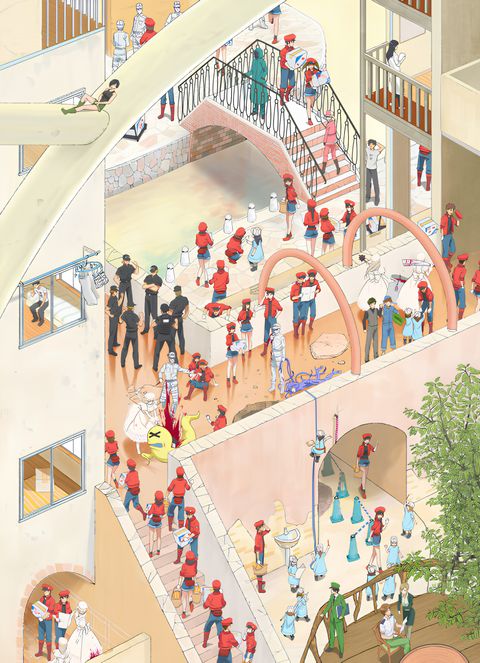 Cells at Work!: The Common Cold