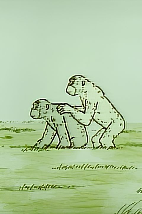 Hito no Kita Tooku Nagai Michi