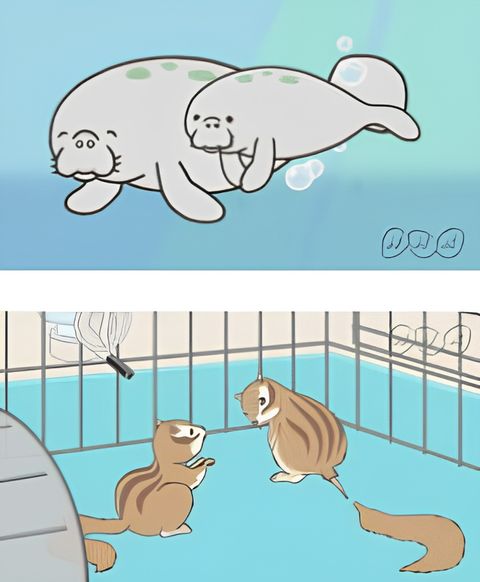 Zannen na Ikimono Jiten (Special)