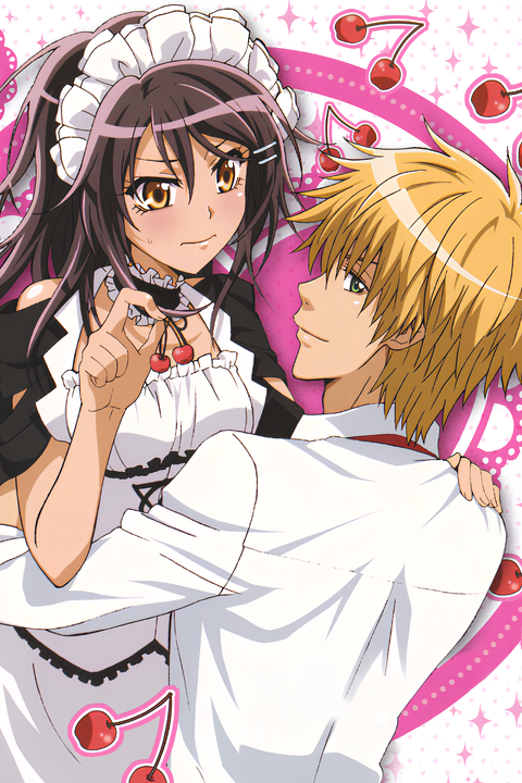 Maid Sama!: It's an Extra!