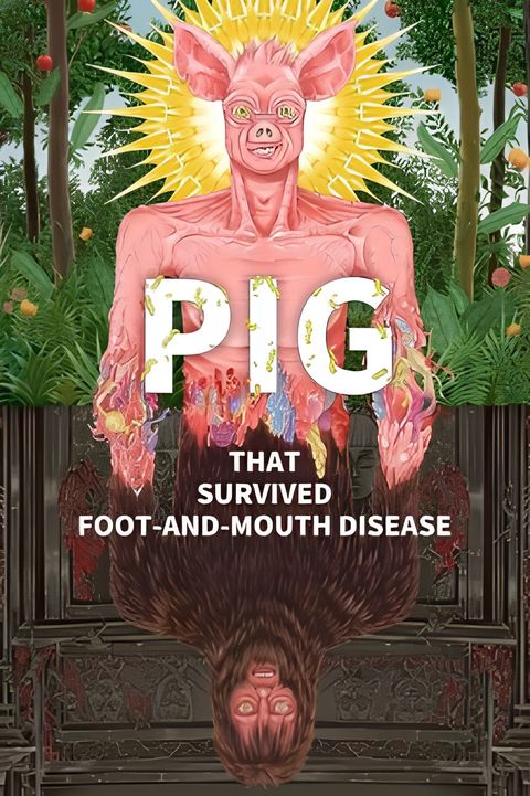 Pig That Survived Foot-and-Mouth Disease