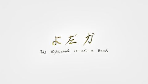 The Nighthawk Is Not a Hawk