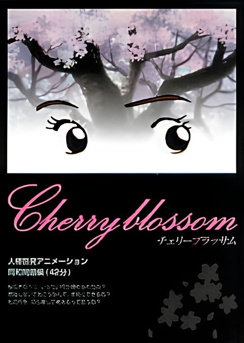 Cherry Blossom