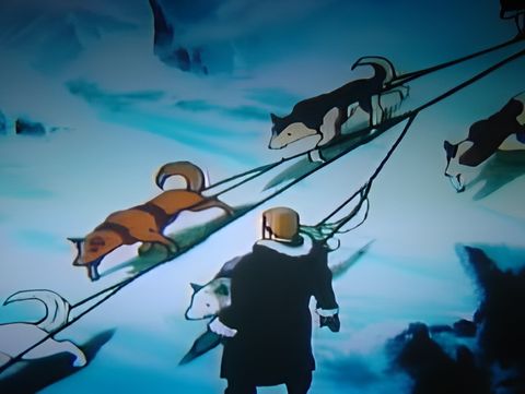 The Call of the Wild