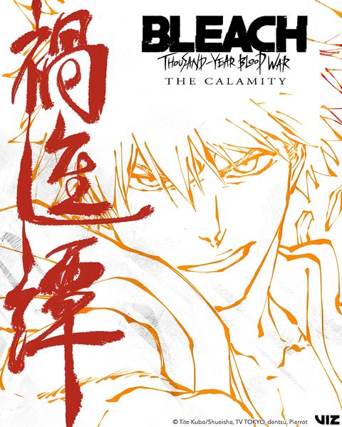 Bleach: Thousand-Year Blood War - The Calamity