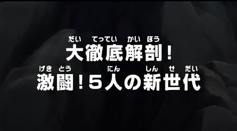 One Piece: A Comprehensive Anatomy! Fierce Fight! The Five from the New Generation