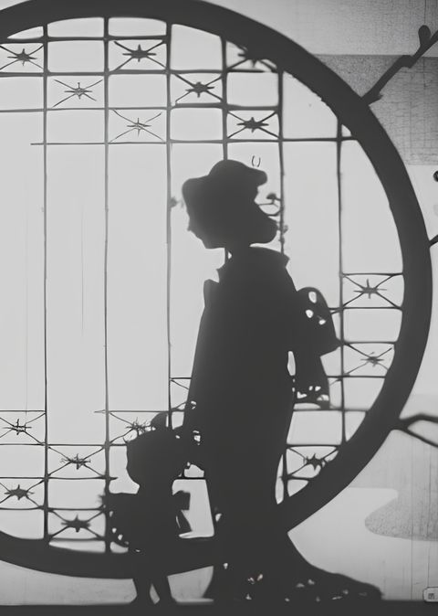 Madame Butterfly's Illusion