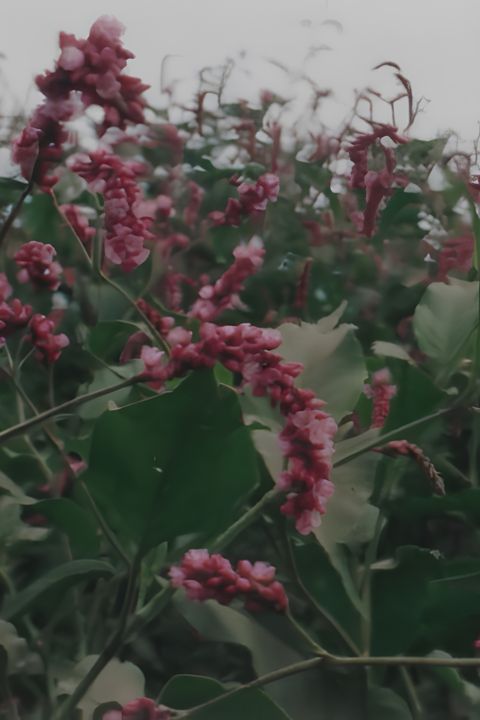 The Extinction of Landscape