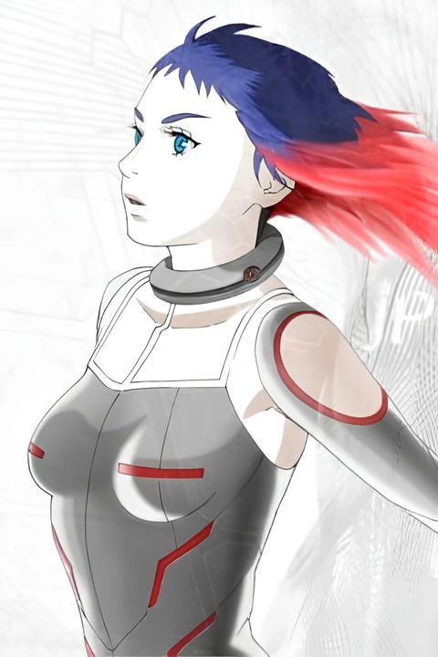 Koukaku Kidoutai Arise [.jp]