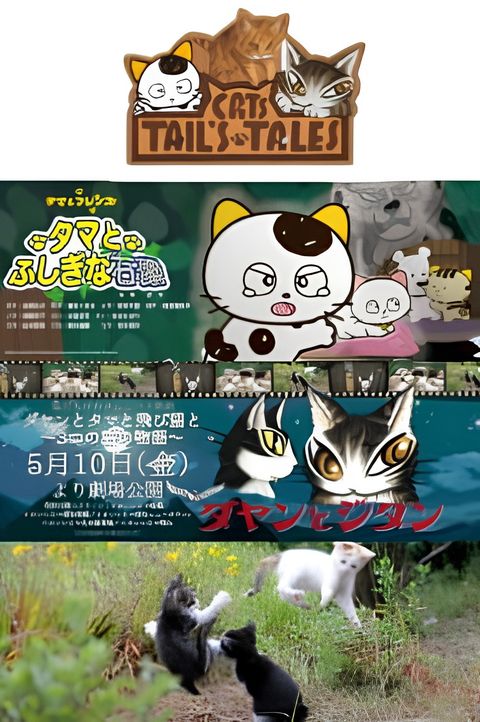 Cats Tail's Tales
