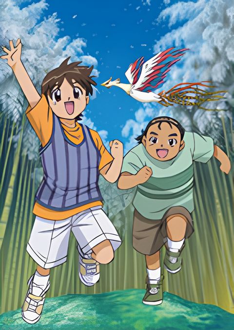 The Flower and the Phoenix