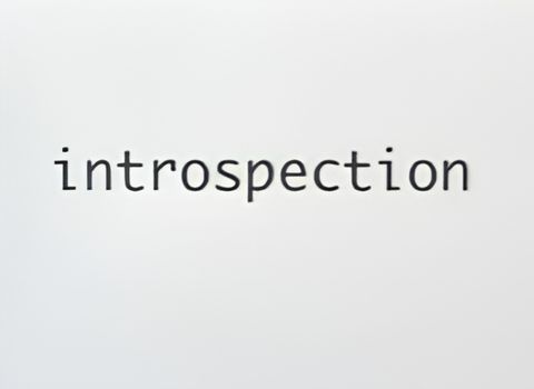 Introspection