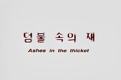 Ashes In The Thicket