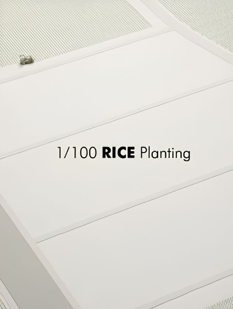 1/100 RICE Planting