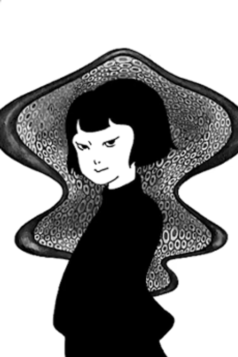 The Evening Traveling