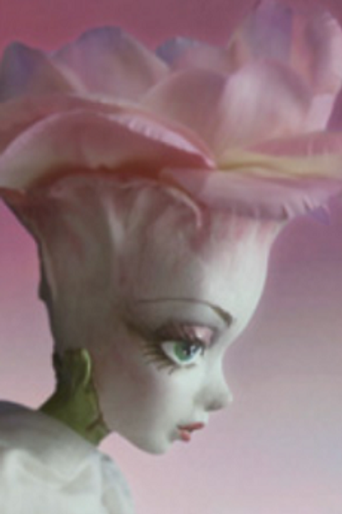 Dareka ga Saz wo Hiite Ita