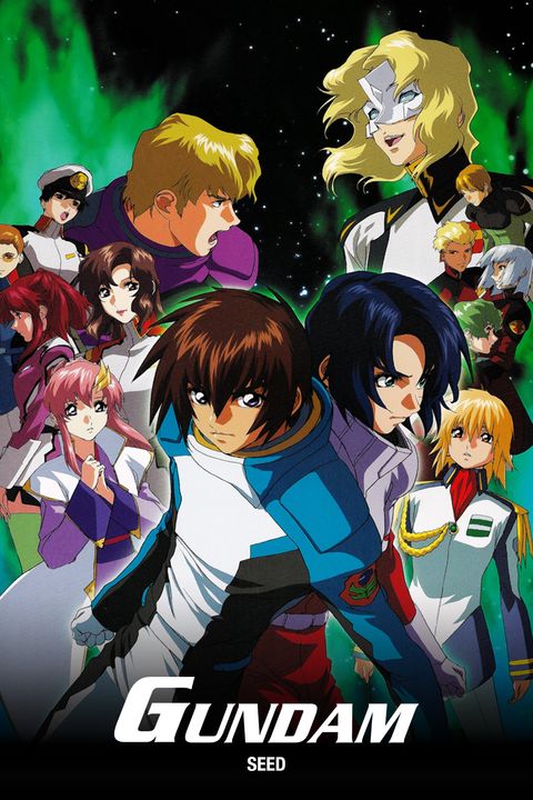 Mobile Suit Gundam SEED MSV Astray